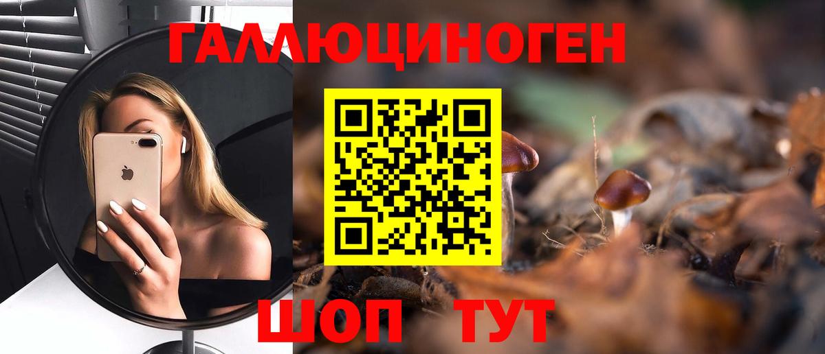 где купить наркоту  Вход с VPN  Кропоткин  Псилоцибиновые грибы Magic Shrooms  Галлюциногенные грибы Psilocybine cubensis 